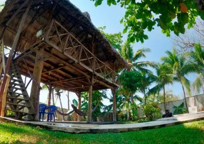 Palapa K59
